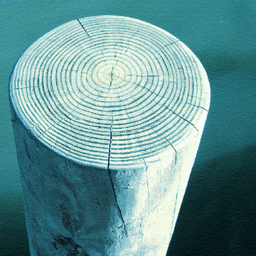 Stacks Image 5727